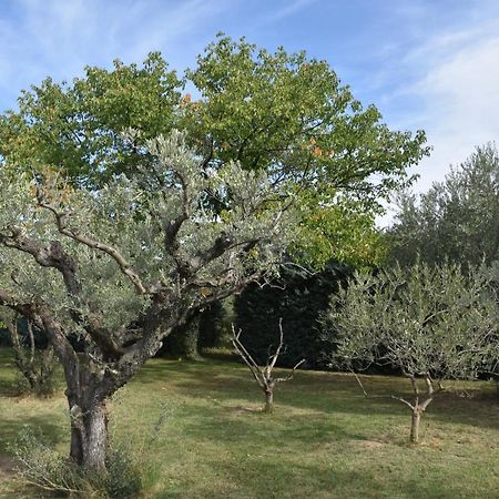 Aux Reves Des Mees Βίλα Les Mées Εξωτερικό φωτογραφία