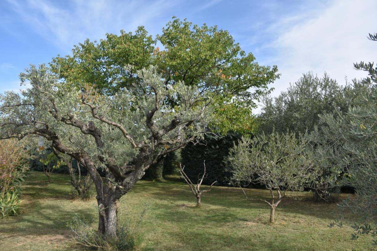 Aux Reves Des Mees Βίλα Les Mées Εξωτερικό φωτογραφία